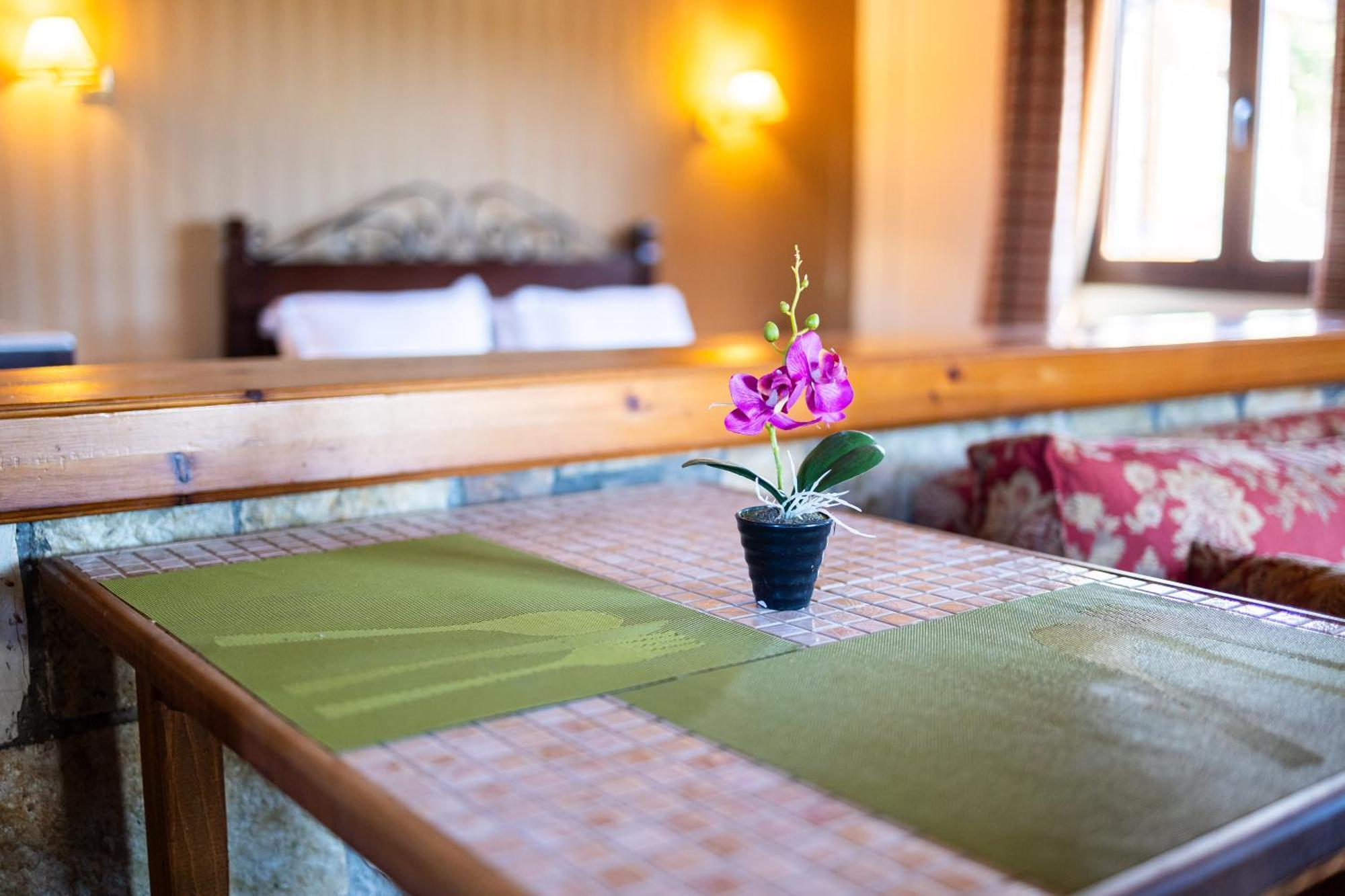 Pleiades Studios All Season Gems - Korinthos Stone Retreats Kalianoi エクステリア 写真